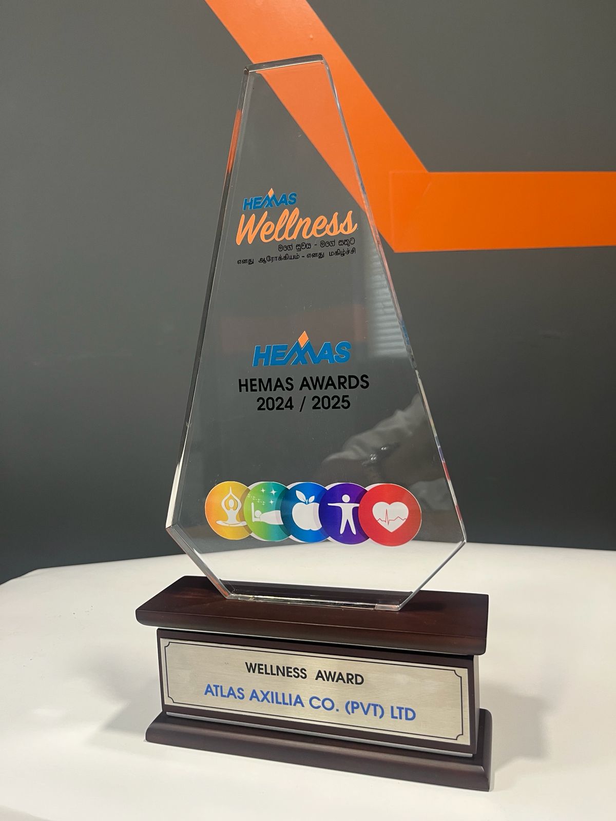 Champions Of The Arena Award
