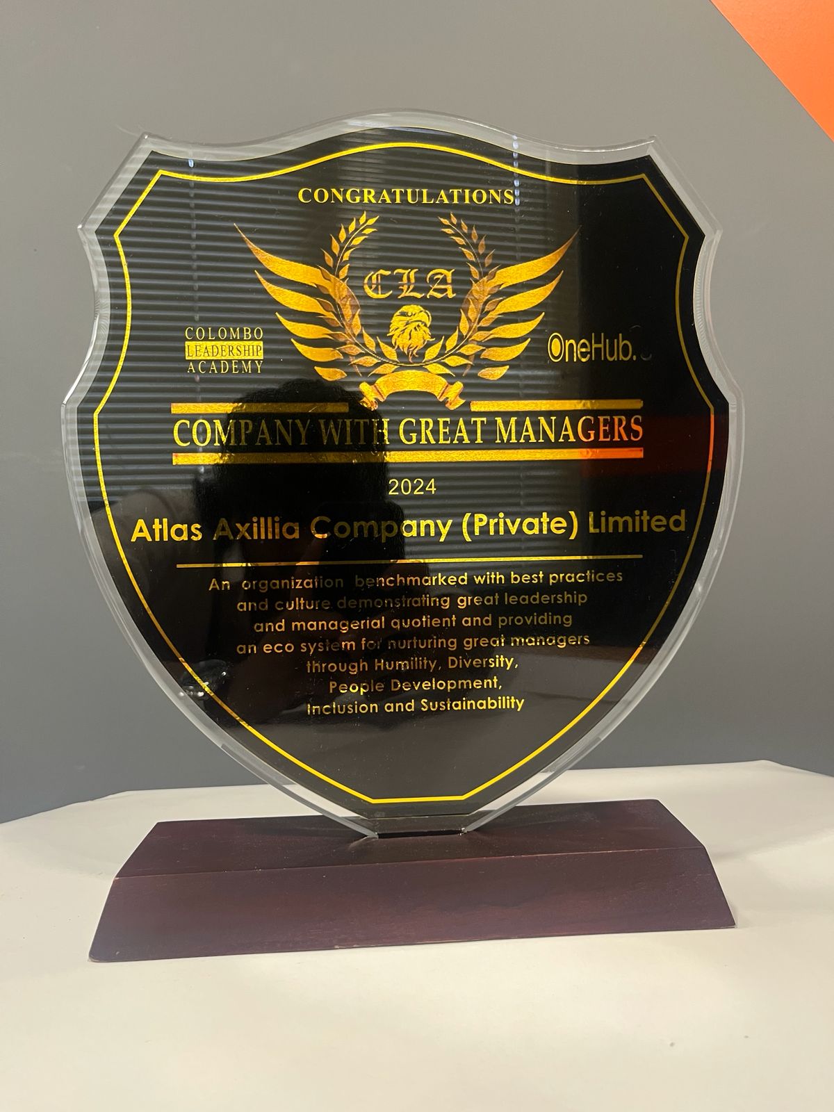 Champions Of The Arena Award