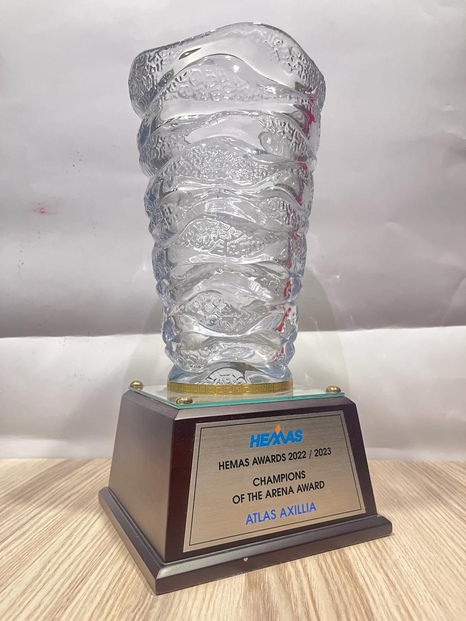 Champions Of The Arena Award