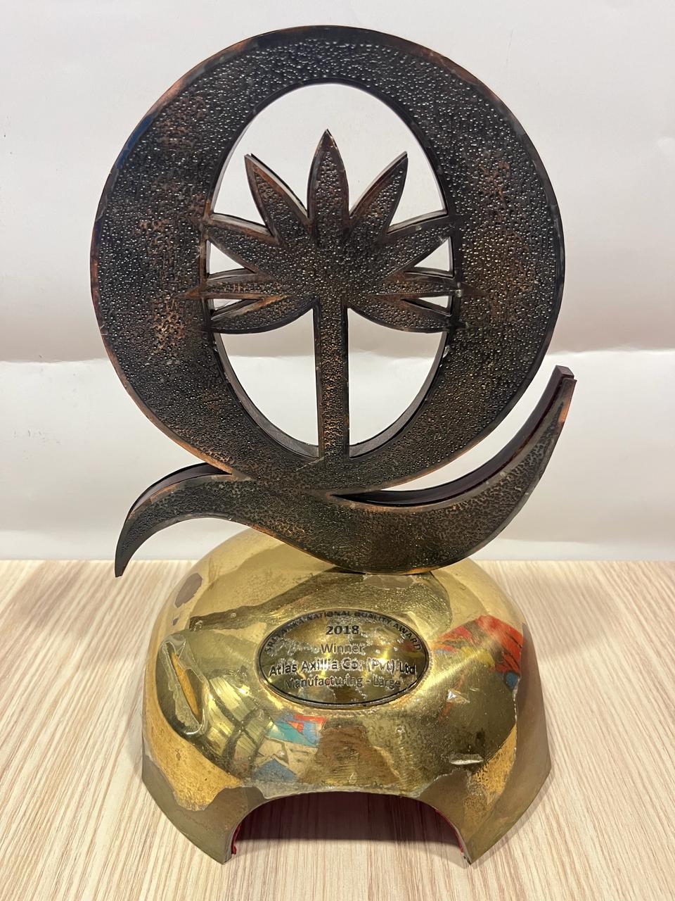 Champions Of The Arena Award