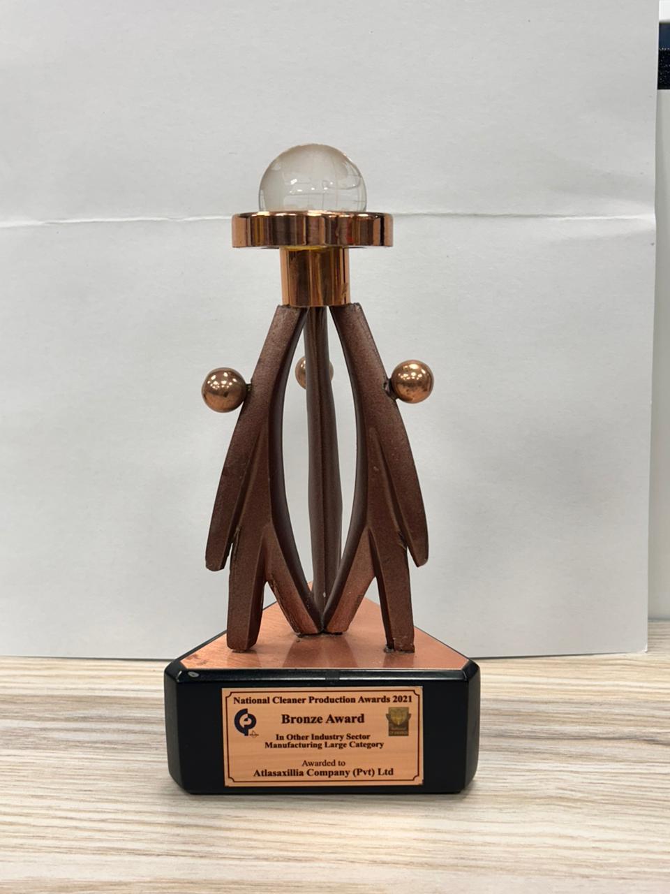 Champions Of The Arena Award
